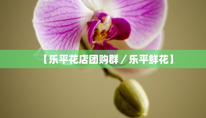 实测辅助”开心十三张开挂怎么使用的”(详细开挂教程)