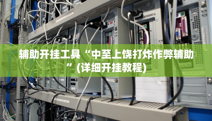 辅助神器“兴动海满麻将是不是有人开挂呀”其实确实有挂