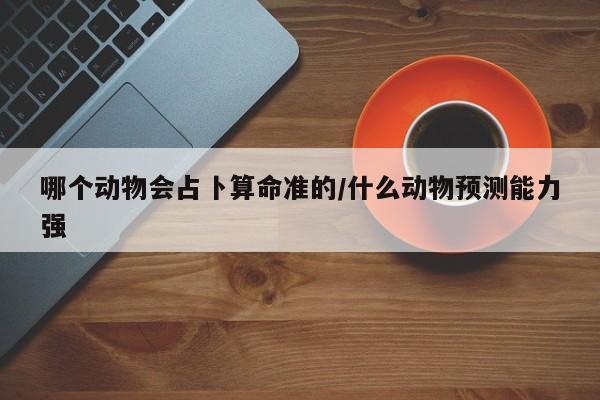 实测辅助”中至上饶打炸到底有没有挂”其实确实有挂