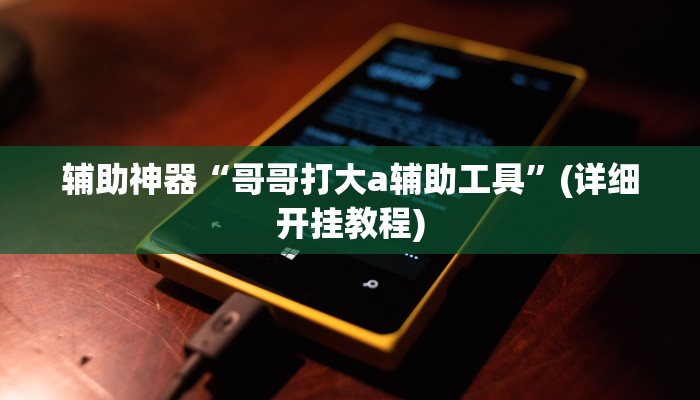 辅助神器“哥哥打大a辅助工具”(详细开挂教程)