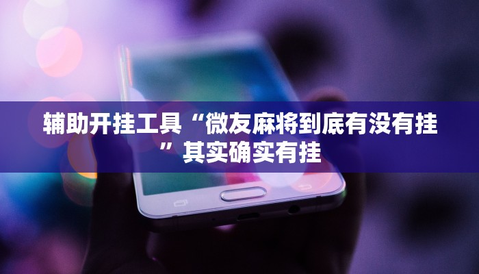 辅助开挂工具“微友麻将到底有没有挂”其实确实有挂