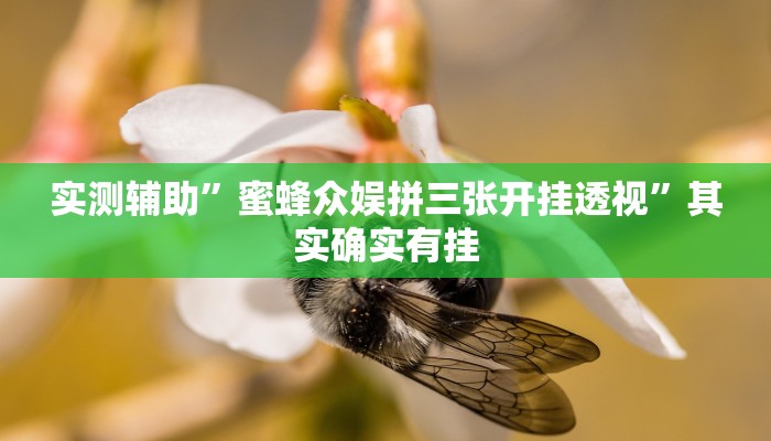 实测辅助”蜜蜂众娱拼三张开挂透视”其实确实有挂