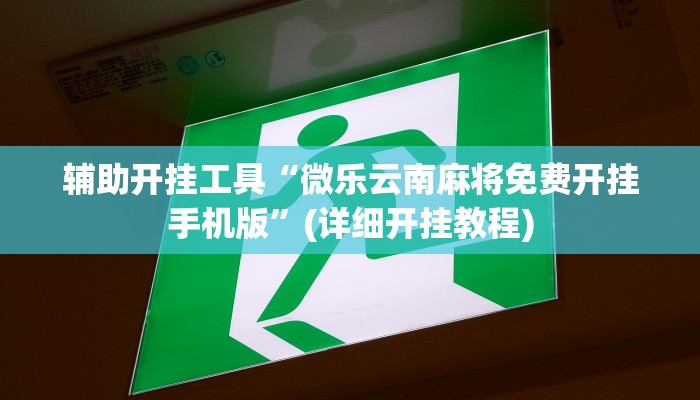 辅助开挂工具“微乐云南麻将免费开挂手机版”(详细开挂教程)