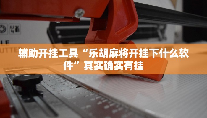 辅助开挂工具“乐胡麻将开挂下什么软件”其实确实有挂