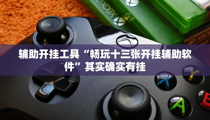 辅助开挂工具“畅玩十三张开挂辅助软件”其实确实有挂