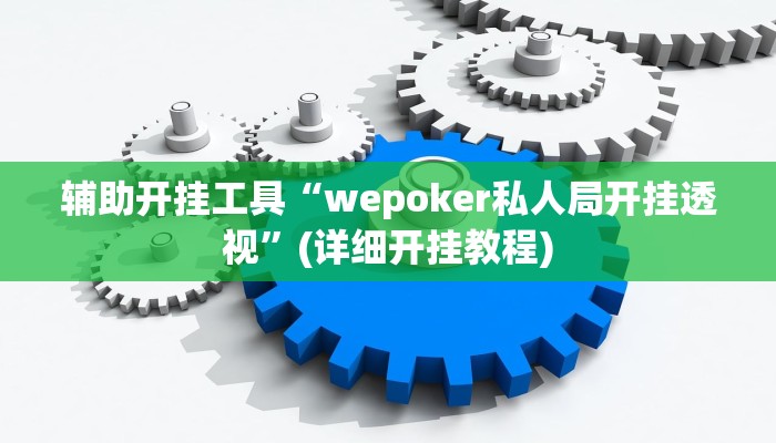 辅助开挂工具“wepoker私人局开挂透视”(详细开挂教程)