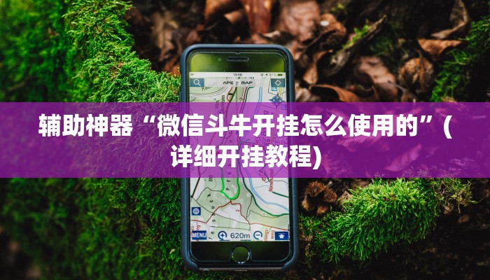实测辅助”皇后拼三张开挂怎么买”(详细开挂教程)