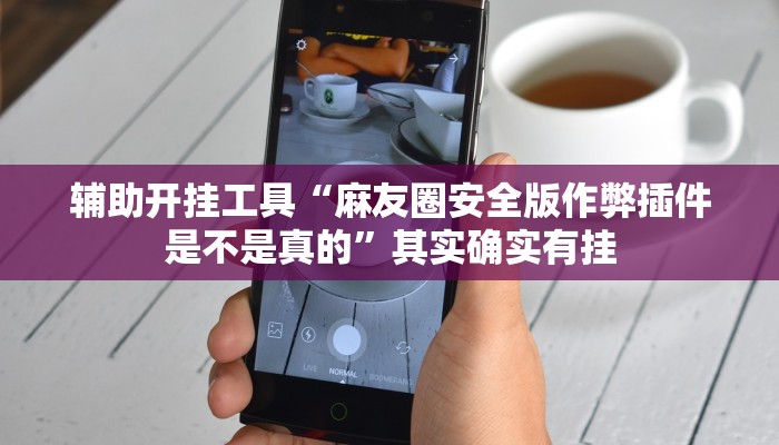 辅助开挂工具“麻友圈安全版作弊插件是不是真的”其实确实有挂