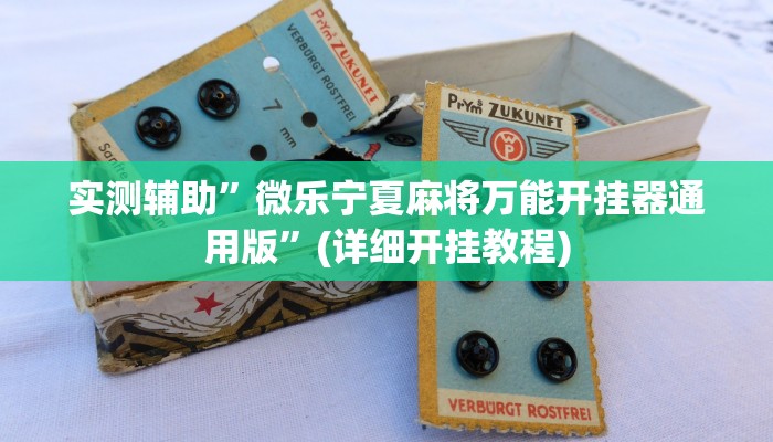 实测辅助”微乐宁夏麻将万能开挂器通用版”(详细开挂教程)