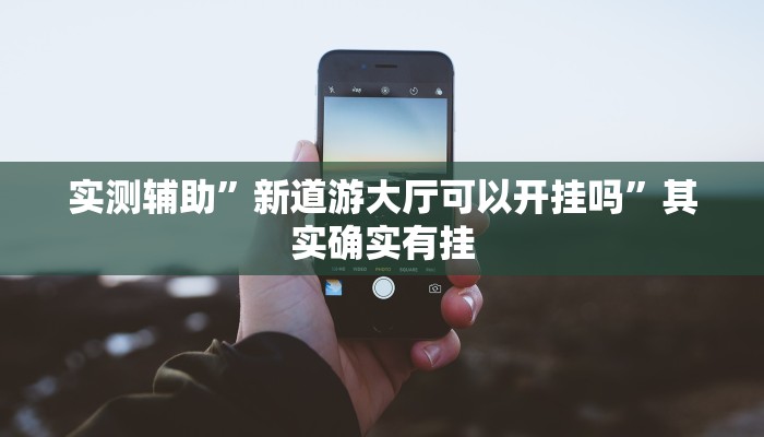 实测辅助”新道游大厅可以开挂吗”其实确实有挂