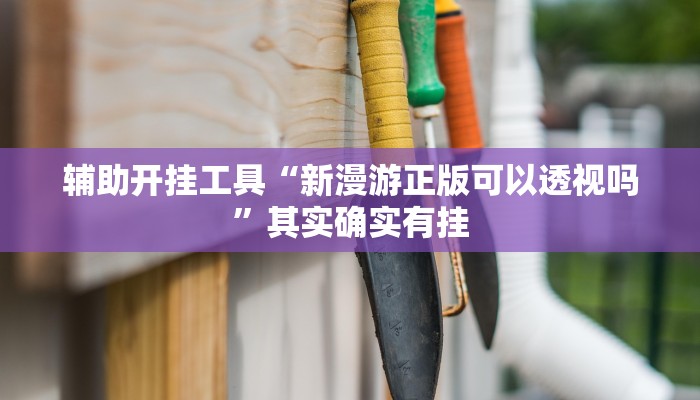 辅助开挂工具“新漫游正版可以透视吗”其实确实有挂