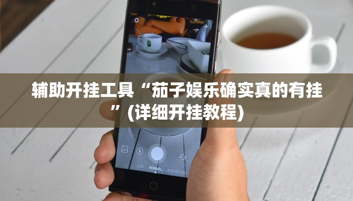 辅助开挂工具“茄子娱乐确实真的有挂”(详细开挂教程)
