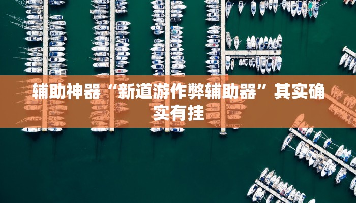 辅助神器“新道游作弊辅助器”其实确实有挂