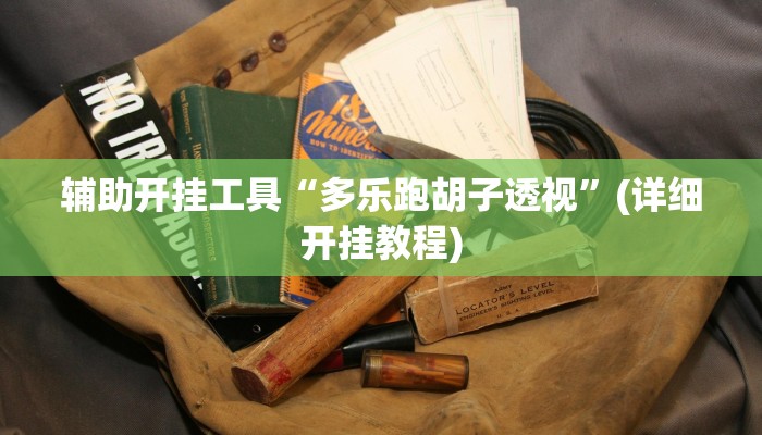 辅助开挂工具“多乐跑胡子透视”(详细开挂教程)