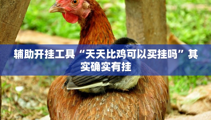 辅助开挂工具“天天比鸡可以买挂吗”其实确实有挂