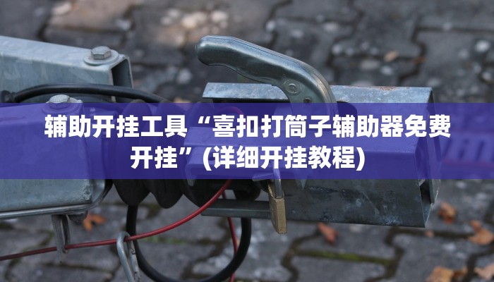 辅助开挂工具“喜扣打筒子辅助器免费开挂”(详细开挂教程)