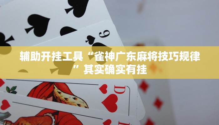 辅助开挂工具“雀神广东麻将技巧规律”其实确实有挂