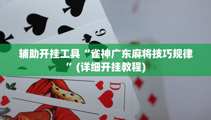 辅助开挂工具“雀神广东麻将技巧规律”(详细开挂教程)