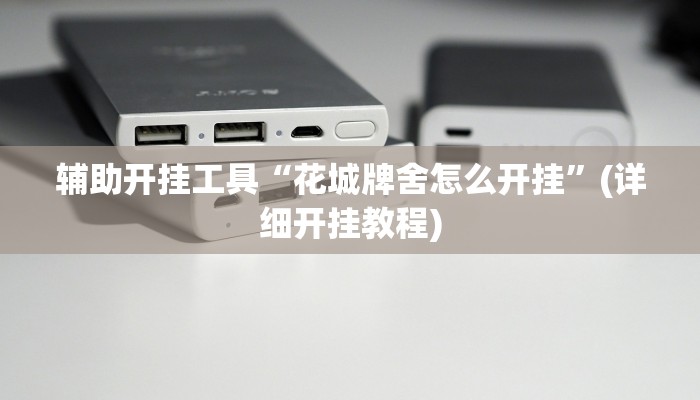 辅助开挂工具“花城牌舍怎么开挂”(详细开挂教程)