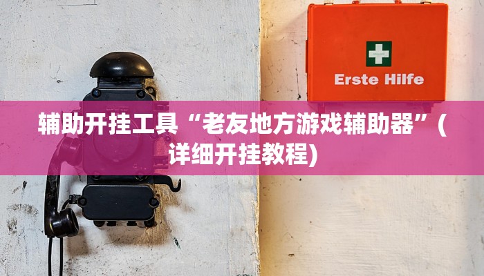 辅助开挂工具“老友地方游戏辅助器”(详细开挂教程)