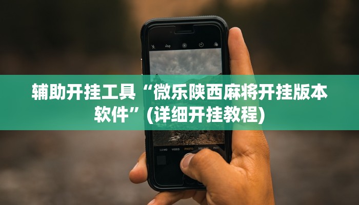 辅助开挂工具“微乐陕西麻将开挂版本软件”(详细开挂教程)