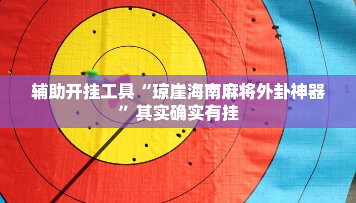 辅助开挂工具“琼崖海南麻将外卦神器”其实确实有挂