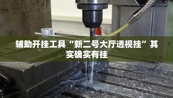 辅助开挂工具“新二号大厅透视挂”其实确实有挂