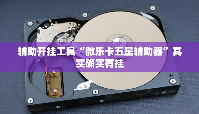 辅助开挂工具“微乐卡五星辅助器”其实确实有挂